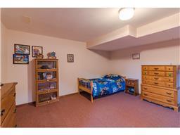 101 Hamilton St, Dundas, MN 55019 photo 19