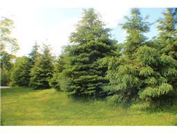 35204 County Road 155, Avon, MN 56310 photo 10