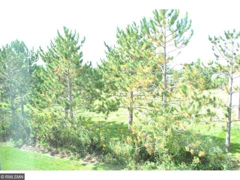748 King Ct, Brainerd, MN 56401 photo 12