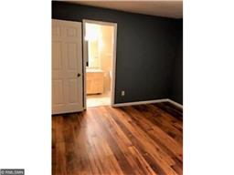 15676 Cicerone Path, Rosemount, MN 55068 photo 6