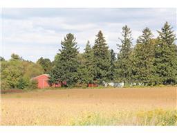 39643 63rd Ave, Kenyon, MN 55946 photo 21