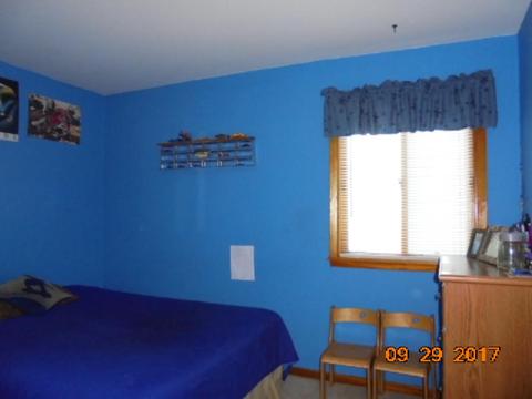 117 4th St, Kenyon, MN 55946 photo 10