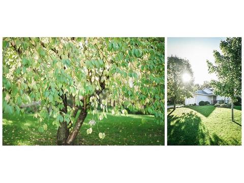 1308 4th St S, Cold Spring, MN 56320 photo 22