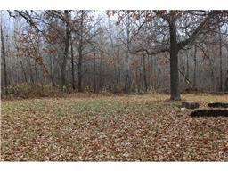 24378 County 2, Nevis, MN 56467 photo 5
