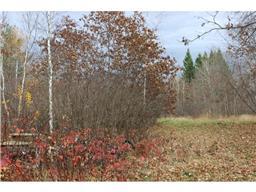 24378 County 2, Nevis, MN 56467 photo 4