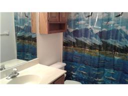 8532 S Pond Trl, Champlin, MN 55316 photo 8