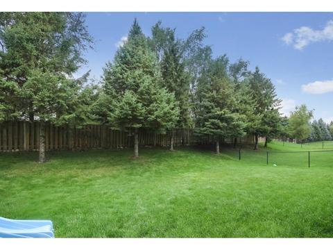 1128 Cobblestone Rd N, Champlin, MN 55316 photo 4