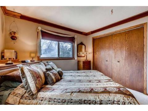 801 Circle Dr, Buffalo, MN 55313 photo 13