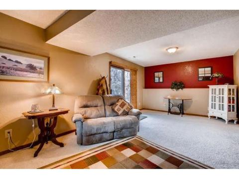 801 Circle Dr, Buffalo, MN 55313 photo 19