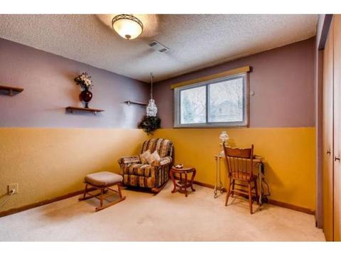 801 Circle Dr, Buffalo, MN 55313 photo 21