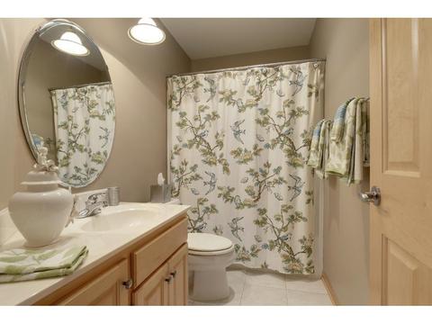 2961 Lake Shore Ave, Maple Plain, MN 55359 photo 14