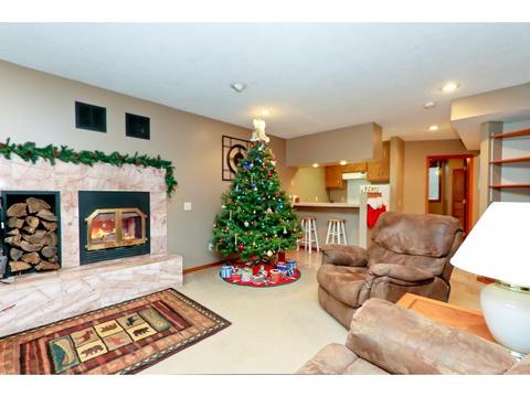 1224 Tananger Ct, Eagan, MN 55123 photo 5