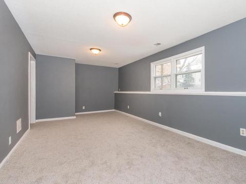 13120 Tilden Ave N, Champlin, MN 55316 photo 15