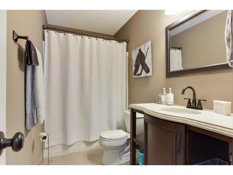 185 Meadow Dr, Loretto, MN 55357 photo 15