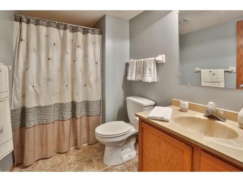 14206 Dearborn Path, Rosemount, MN 55068 photo 16