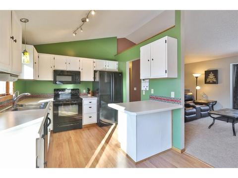 14206 Dearborn Path, Rosemount, MN 55068 photo 6
