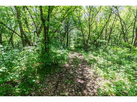 26415 Hermitage Rd, Cold Spring, MN 56320 photo 37