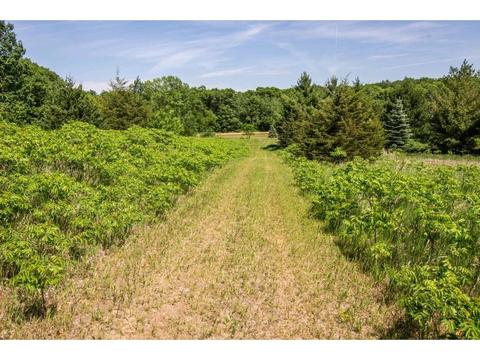 26415 Hermitage Rd, Cold Spring, MN 56320 photo 39