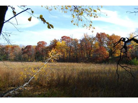 20035 Manor Rd, Excelsior, MN 55331 photo 11