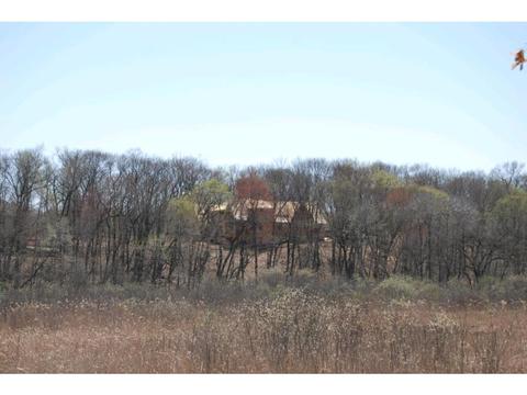 20035 Manor Rd, Excelsior, MN 55331 photo 3