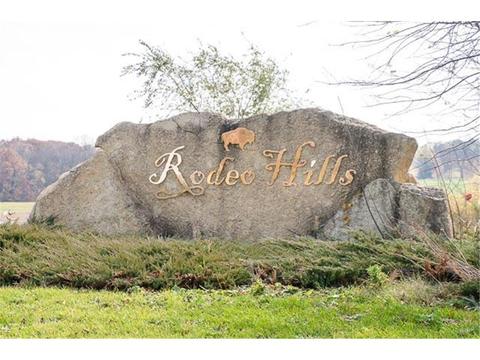 2311 Buffalo Run Rd, Buffalo, MN 55313 photo 17