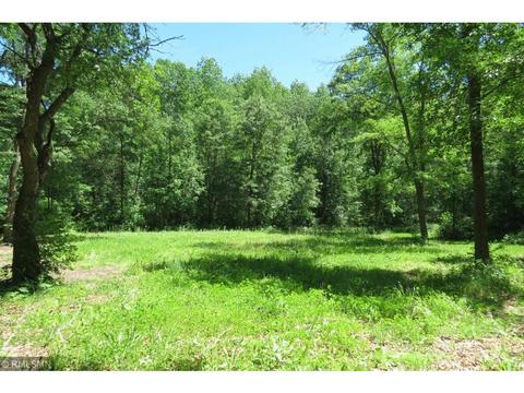 3223 260th St, Cushing, MN 56443 photo 12
