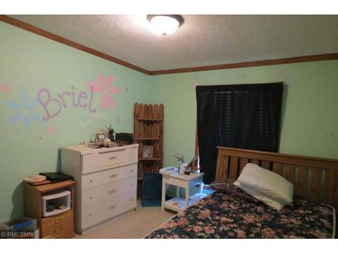3223 260th St, Cushing, MN 56443 photo 24