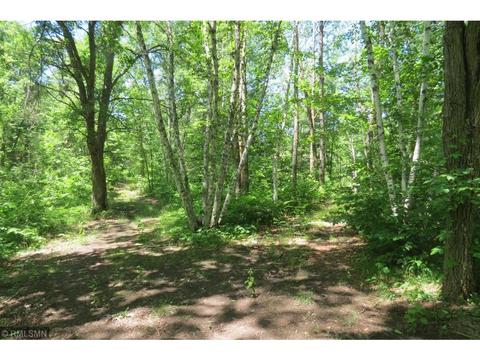 3223 260th St, Cushing, MN 56443 photo 10