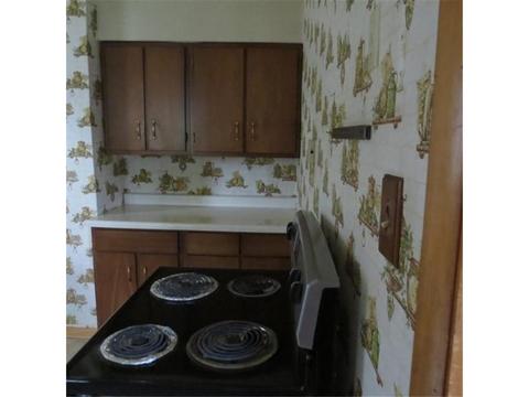 204 E Conan St, Ely, MN 55731 photo 17
