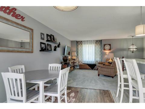 10906 Kentucky Ave N, Champlin, MN 55316 photo 9