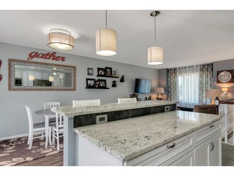 10906 Kentucky Ave N, Champlin, MN 55316 photo 8