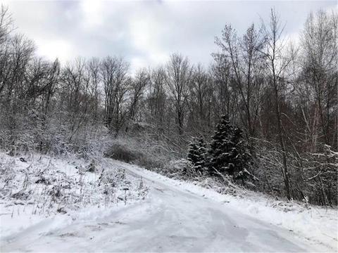 2864 218th St, Cushing, WI 54006 photo 33