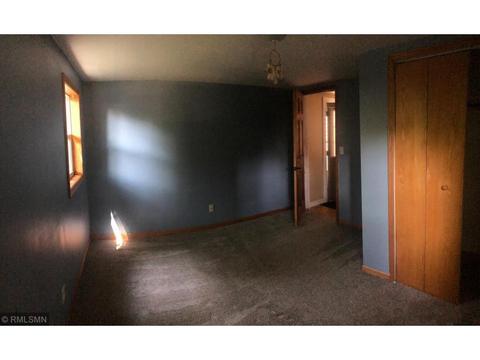 125 E Williams St, Darwin, MN 55324 photo 4