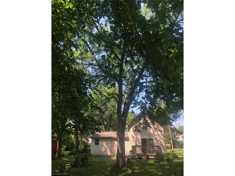 125 E Williams St, Darwin, MN 55324 photo 3