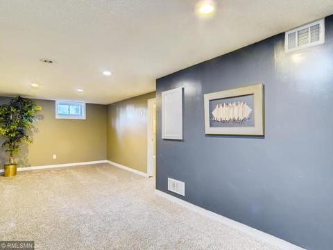 54 Pine Dr, Circle Pines, MN 55014 photo 11