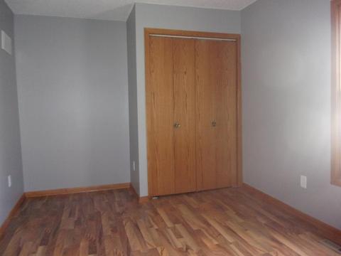 403 3rd St, Kenyon, MN 55946 photo 14