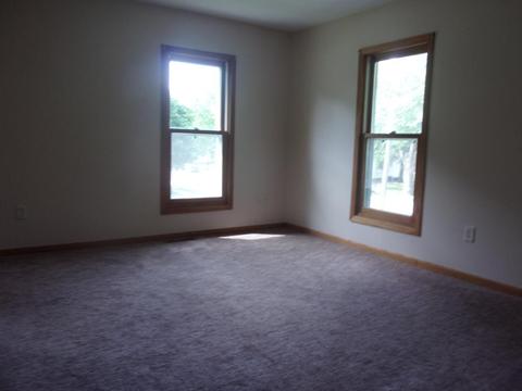 403 3rd St, Kenyon, MN 55946 photo 17