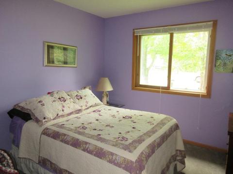 204 Suncrest Ct, Avon, MN 56310 photo 13