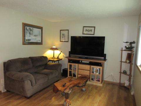 204 Suncrest Ct, Avon, MN 56310 photo 10