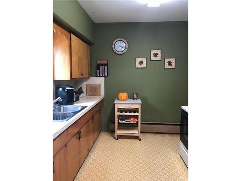 205 3rd Ave SW, Eagle Bend, MN 56446 photo 8