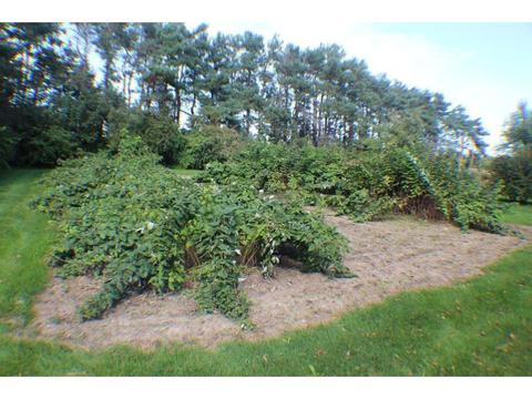 12756 County Road 4, Avon, MN 56310 photo 25