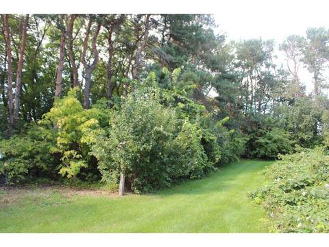 12756 County Road 4, Avon, MN 56310 photo 22