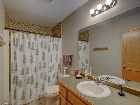 1364 Cobblestone Rd N, Champlin, MN 55316 photo 15