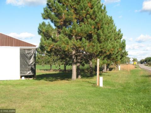 1526 State 87 NW, Backus, MN 56435 photo 8