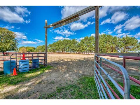 23677 Cable Ave, Winsted, MN 55395 photo 29