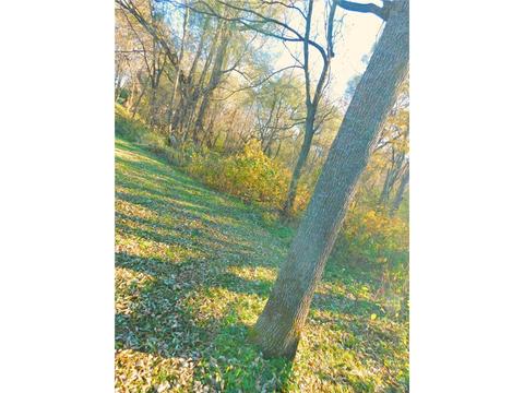 110 E 6th St, Randall, MN 56475 photo 18