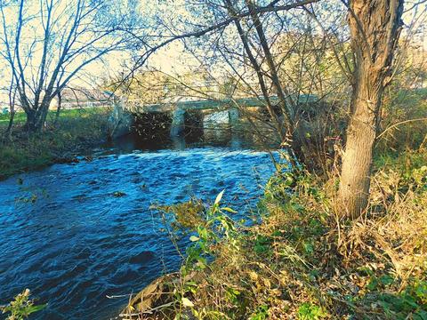 110 E 6th St, Randall, MN 56475 photo 20