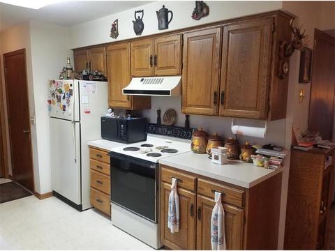 110 E 3rd St, Winthrop, MN 55396 photo 5