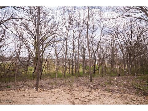 720 Timberline Dr SE, Oronoco, MN 55960 photo 34