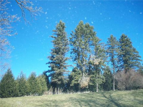 14308 County 8, Spring Valley, MN 55975 photo 32